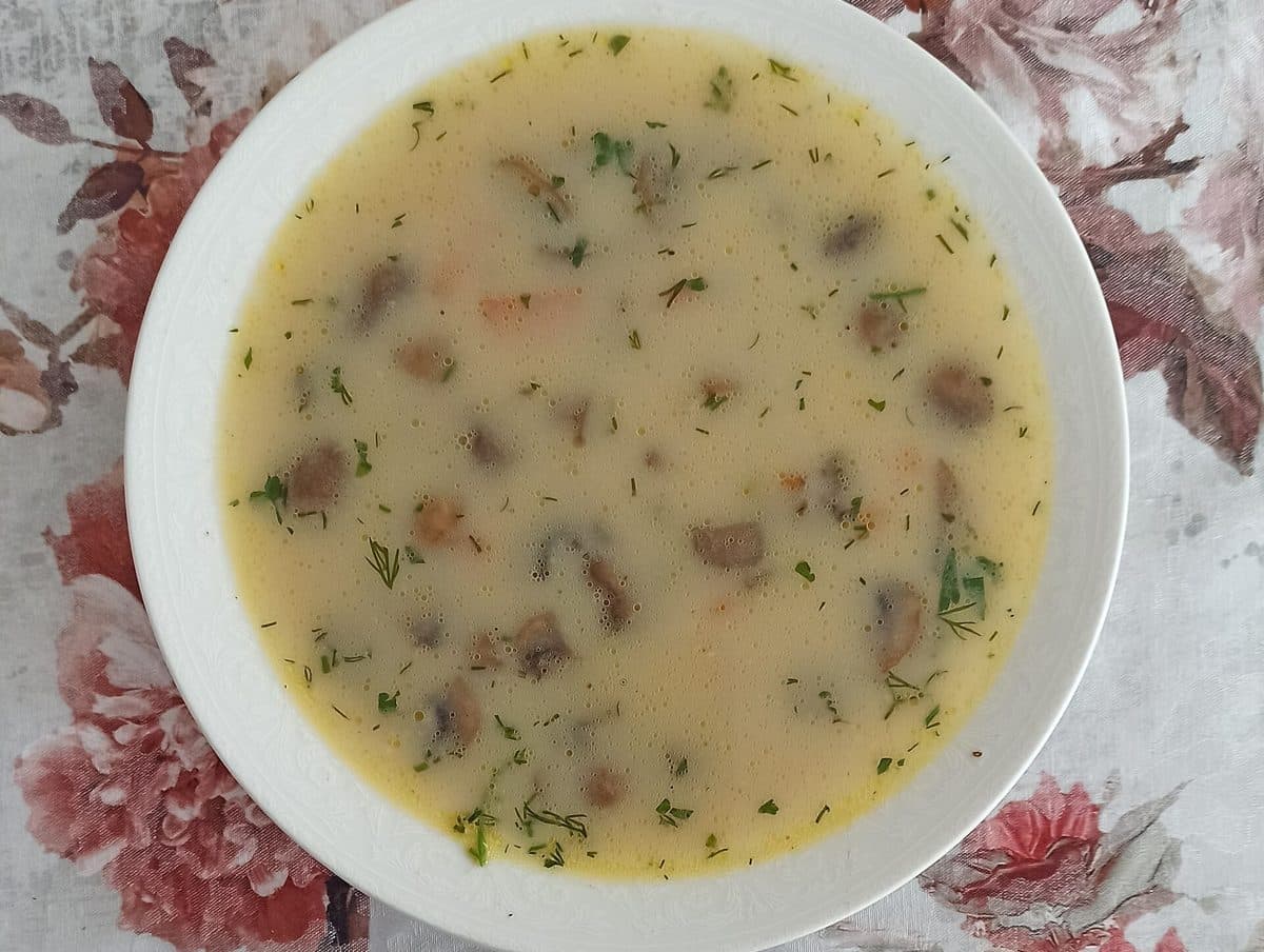 Zupa pieczarkowa z koperkiem w białym talerzu